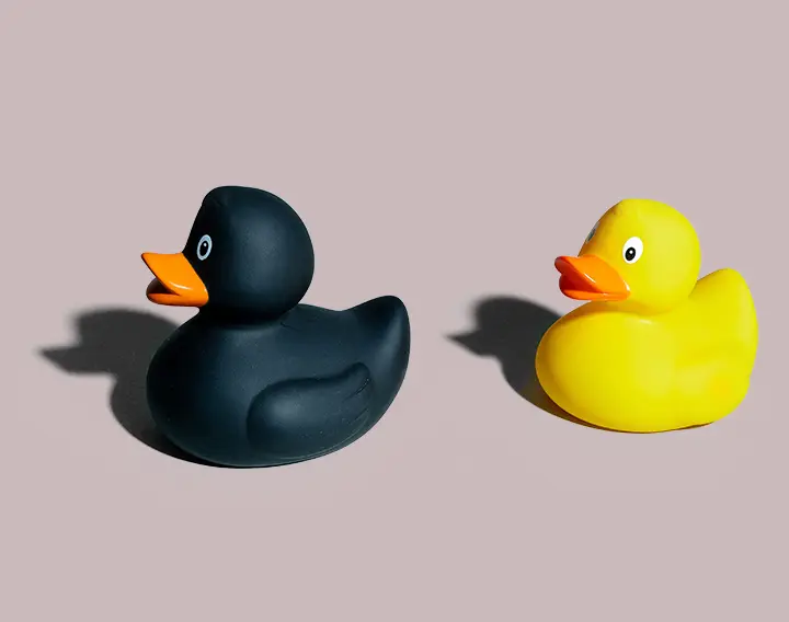 rebel bath ducks
